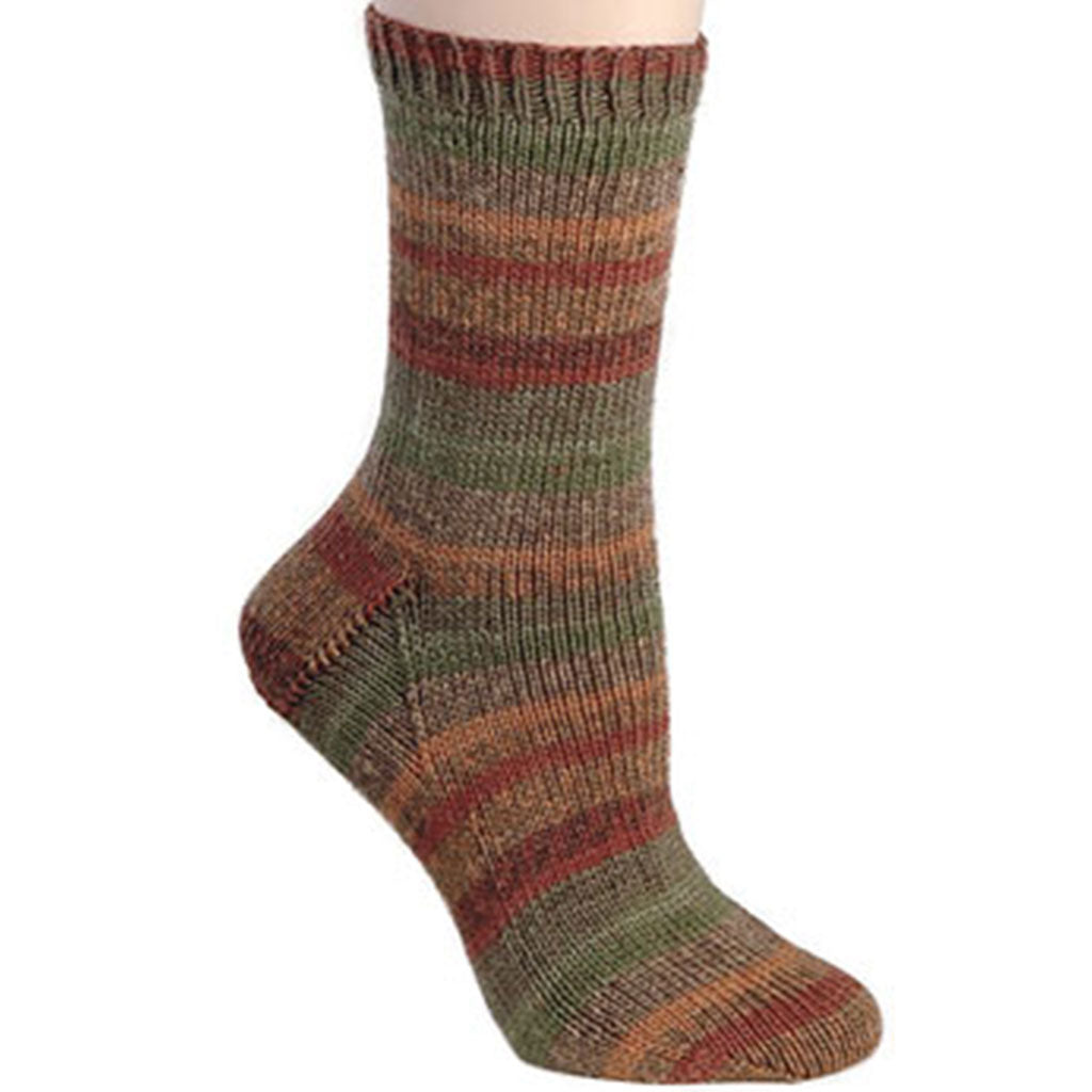 Color Stewart Island 1812. A self patterning skein of Berroco Comfort wool-free sock yarn.