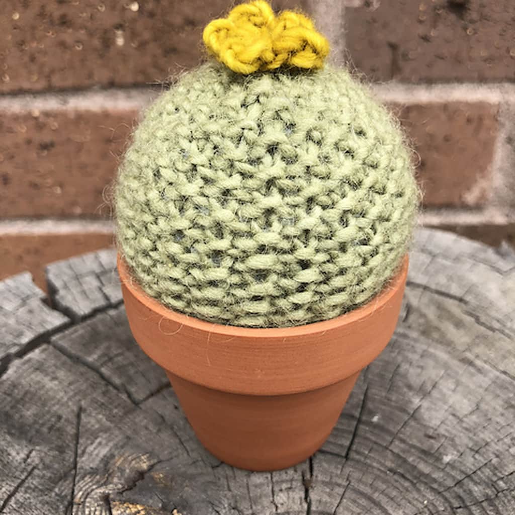 One small, round knitted cactus in a small terracotta pot with a yellow crocheted flower on top