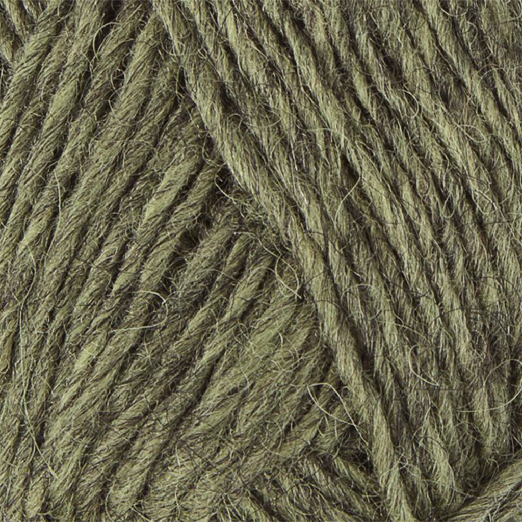 Celery Green 9421, a heathered pale green and dark grey skein of Léttlopi Icelandic wool yarn.