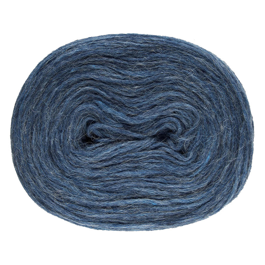Blues Blue 2022, a dusty heathered blue roll of Lopi's Plotulopi.