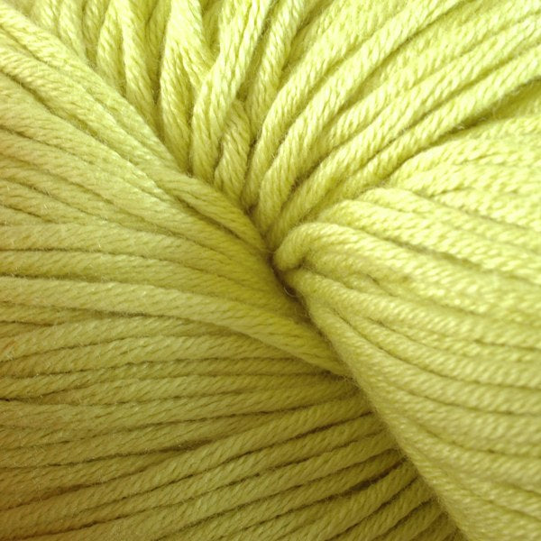 Mackeral 1626, a bright light green skein of Berroco's worsted weight Modern Cotton.