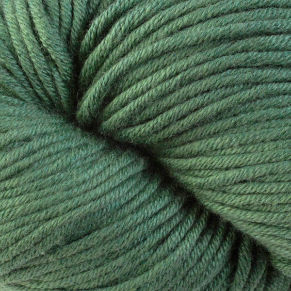 TF Green 1661, a dusty green skein of Berroco's worsted weight Modern Cotton.