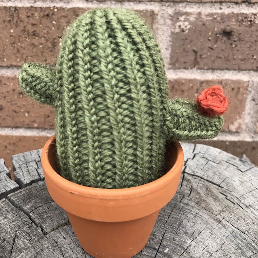 One small knitted cactus in a small terracotta pot with two small arms and a pink flower on one arm
