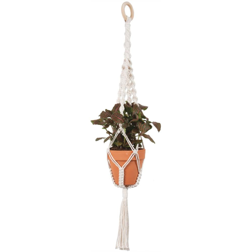 The Solid Oak Macrame Plant Hanger Kit in the option 4 Twists.