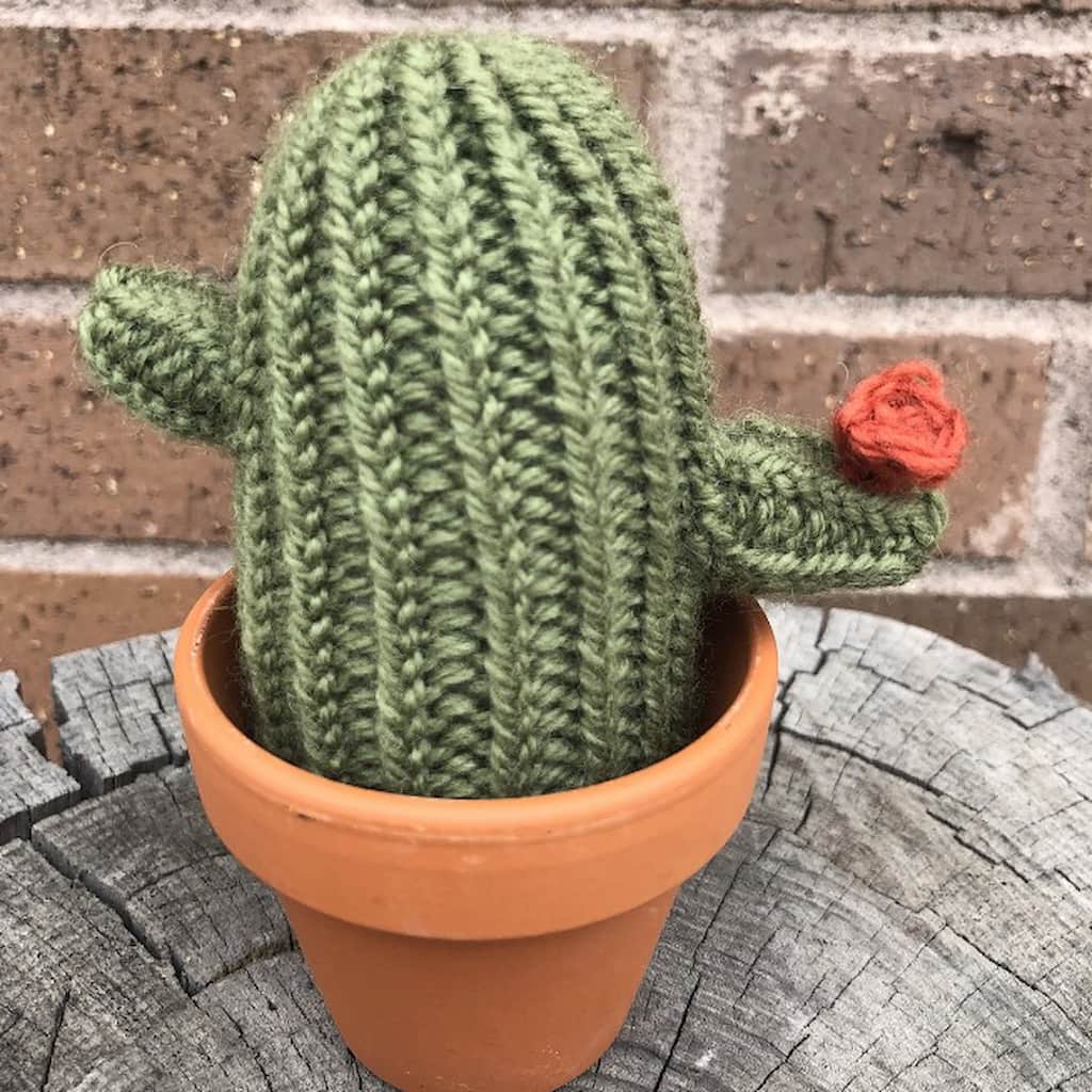 A Prickle of Cactus Pattern - Paradise Fibers