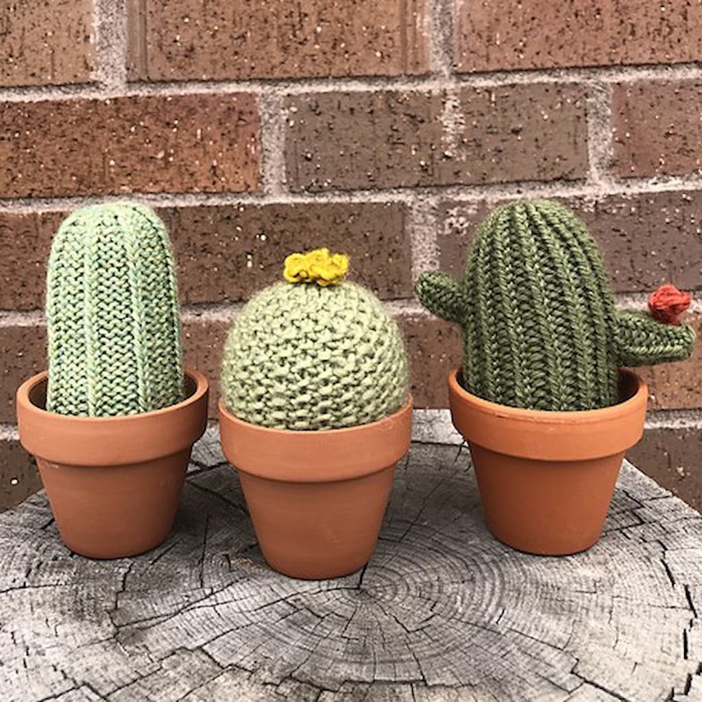 Three small, knitted cacti in small terracotta pots. 