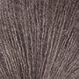Birch 3416