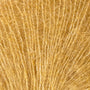 Goldenrod 3435