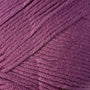 9717 Raspberry Coulis
