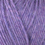 33165 Wisteria