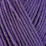 33146 Aster