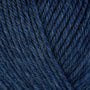 33138 Delphinium