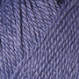 Grape 10022