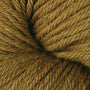 5192 Chana Dal