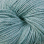 5172 Calico