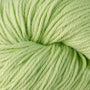 5124 Kiwi