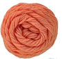 Apricot Nectar CW863