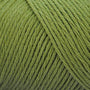 Spanish Olive CF440