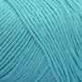 Robin Egg Blue CF555
