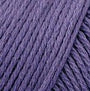 Prairie Lupine CF800
