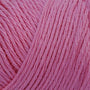 Pink Azalea CF250