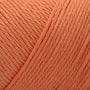 Apricot Nectar CF863