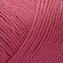 Tea Rose CW210