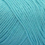 Robin Egg Blue CW555