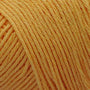 Sunflower Gold CW343