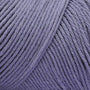 Prairie Lupine CW800