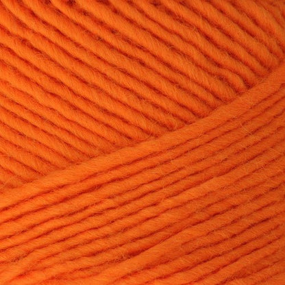 Brown Sheep Lamb's Pride Bulky Neon - Paradise Fibers