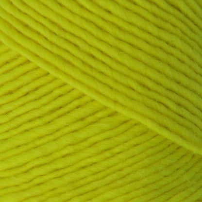 Brown Sheep Lamb's Pride Bulky Neon - Paradise Fibers