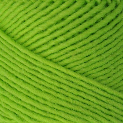Brown Sheep Lamb's Pride Bulky Neon - Paradise Fibers
