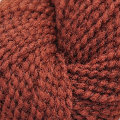 Brown Sheep Lana Bouclé Worsted - Paradise Fibers