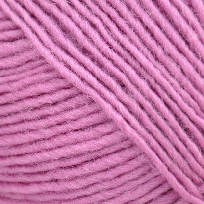 Brown Sheep Lanaloft Worsted - 1 lb. Cone - Paradise Fibers