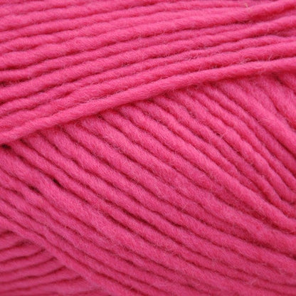 Brown Sheep Lanaloft Worsted - 1 lb. Cone - Paradise Fibers