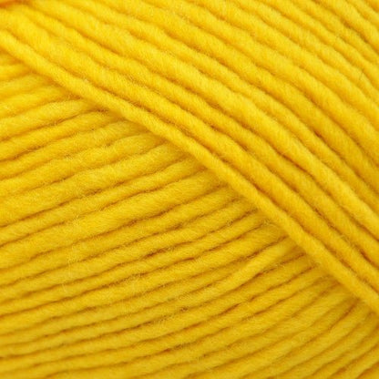 Brown Sheep Lanaloft Worsted - 1 lb. Cone - Paradise Fibers