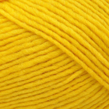 Brown Sheep Lanaloft Worsted - 1 lb. Cone - Paradise Fibers