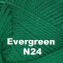 Evergreen N24