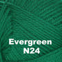 Evergreen N24