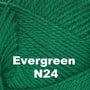 Evergreen N24