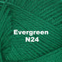 Evergreen N24