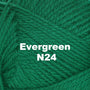 Evergreen N24