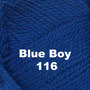 Blue Boy 116