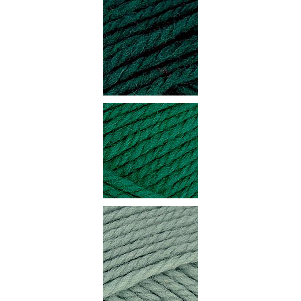 Nature Spun Worsted HOLIDAY Color Packs-Kits-Candy-Canes-Enchanted Forest x1 / Evergreen x1 / Arctic Moss x1-