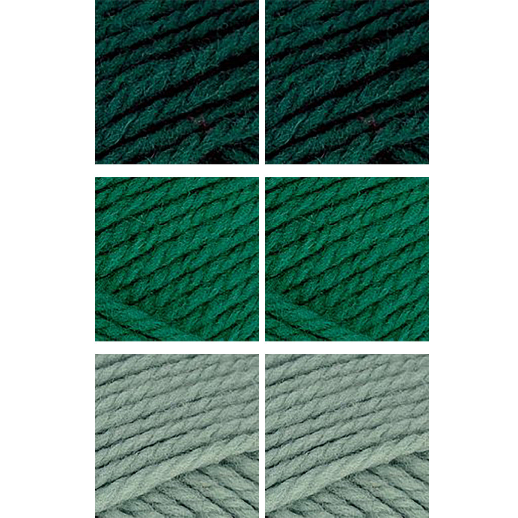 Nature Spun Worsted HOLIDAY Color Packs-Kits-Candy-Canes-Enchanted Forest x2 / Evergreen x2 / Arctic Moss x2-