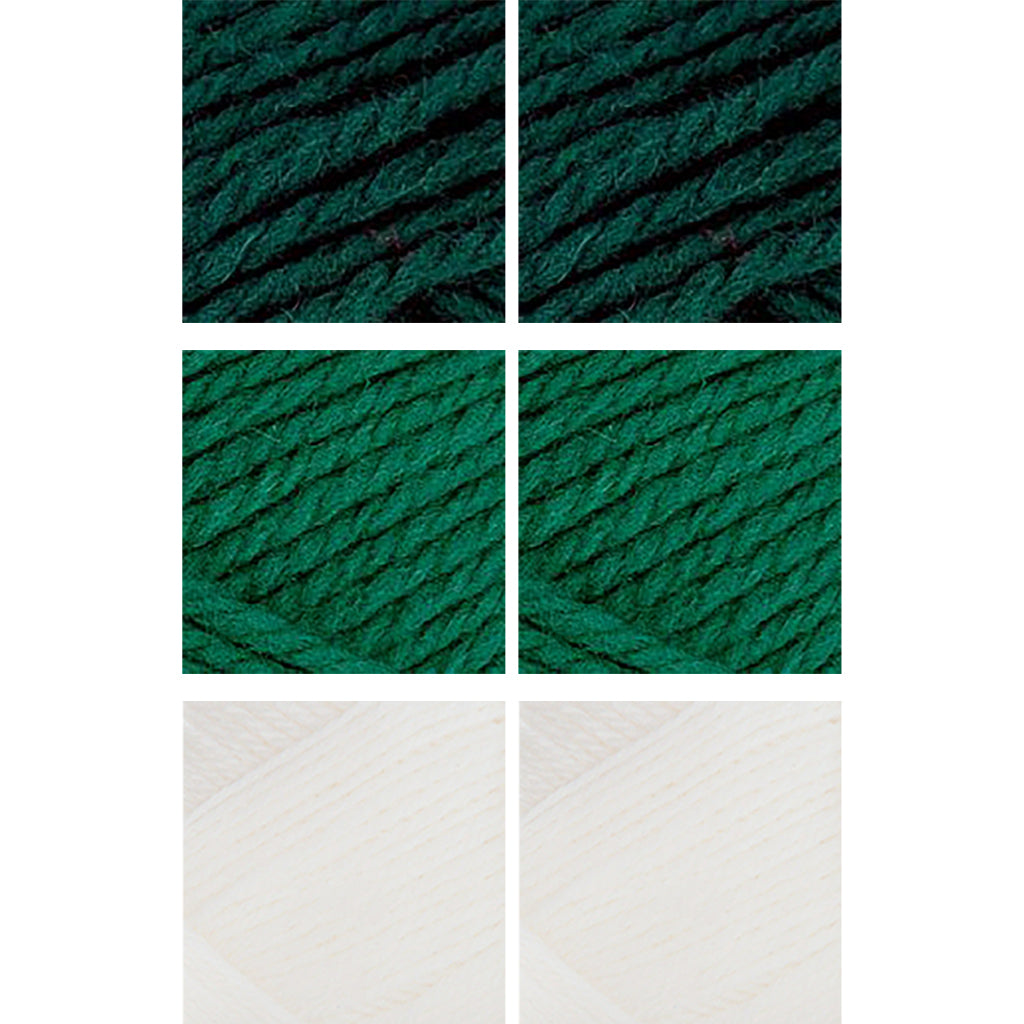 Nature Spun Worsted HOLIDAY Color Packs-Kits-Candy-Canes-Enchanted Forest x2 / Evergreen x2 / Snow x2-