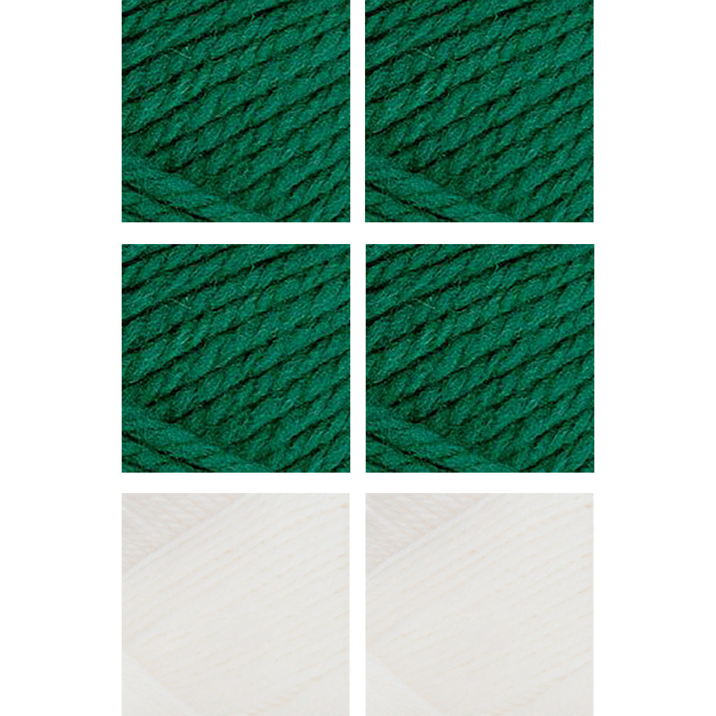 Nature Spun Worsted HOLIDAY Color Packs-Kits-Add a Touch of Snow-Evergreen x4 / Snow x2-