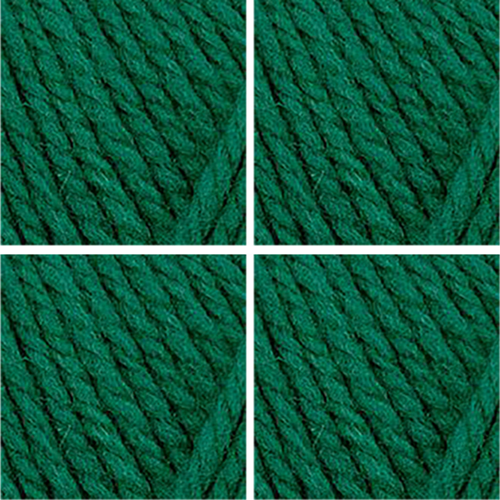 Nature Spun Worsted HOLIDAY Color Packs-Kits-Red and Green-Evergreen x4-