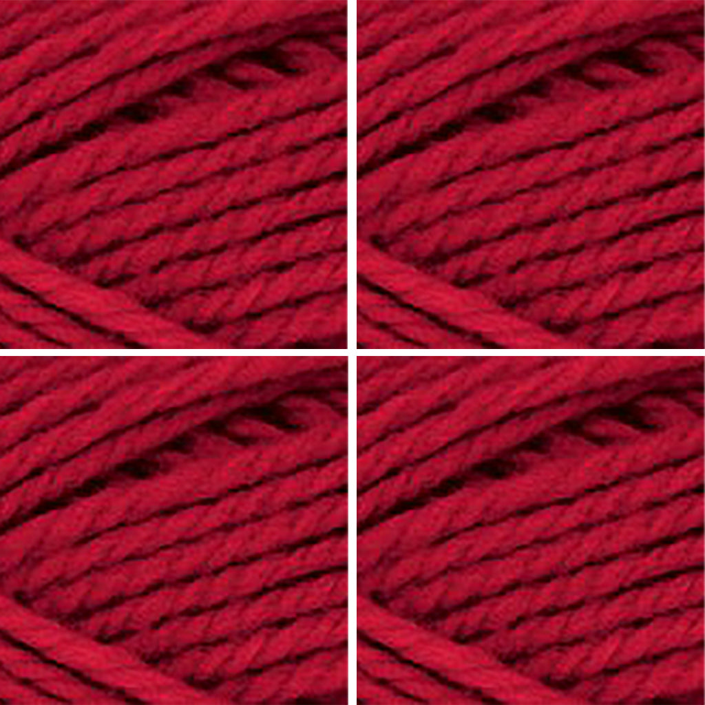 Nature Spun Worsted HOLIDAY Color Packs-Kits-Red and Green-Red Fox x4-